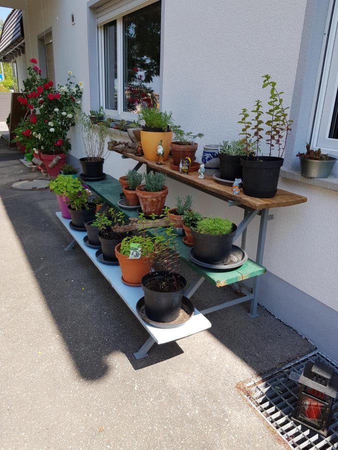 Ferienwohnung Namaste Langenargen Exterior foto